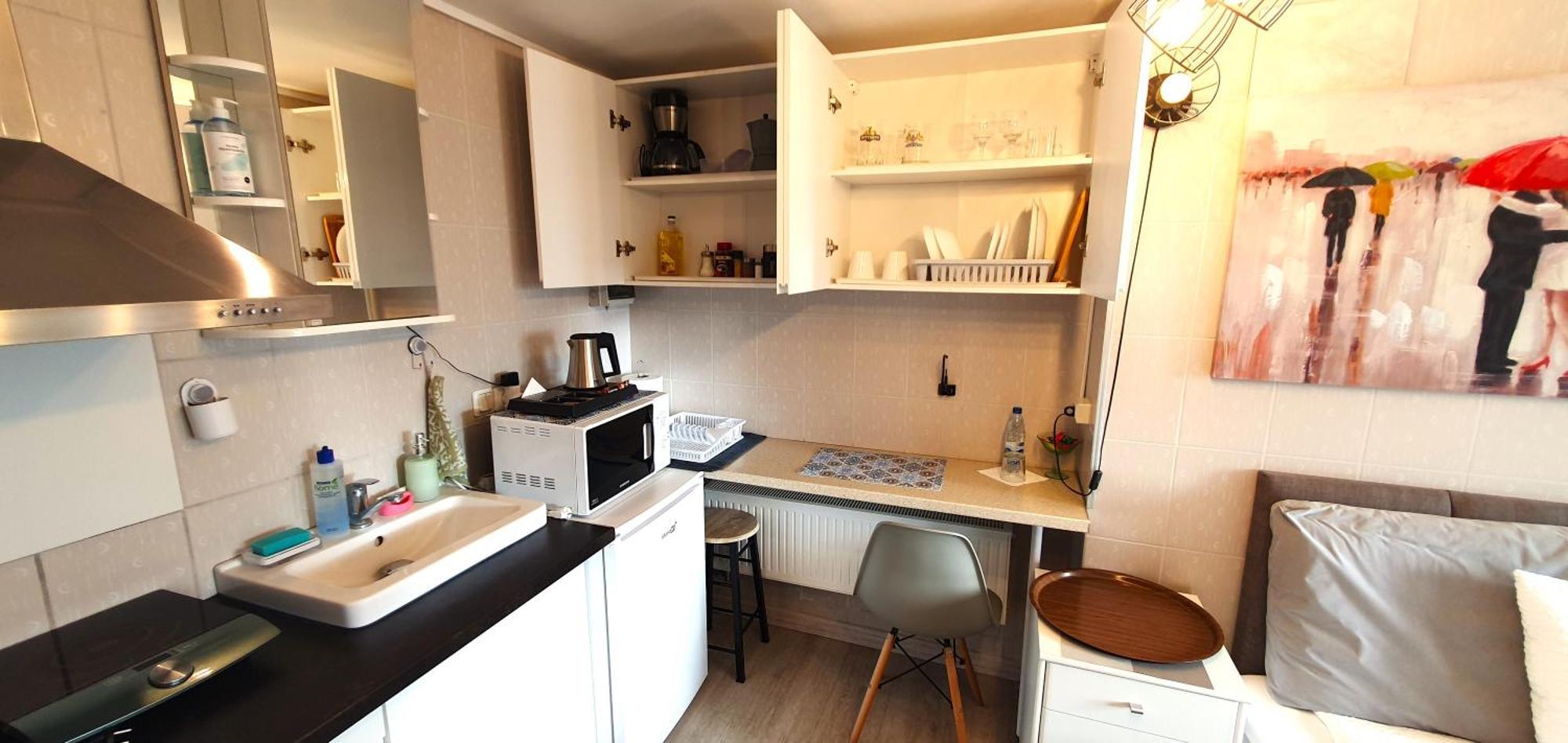 Aparthotel 1 ,, Cosy House Mini Studio " Kaunas Exterior photo